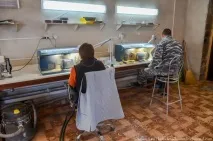 Як обробляють бурштин - Джерело Гарного Настрою джерело