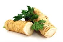 Які продукти спалюють жир топ-20 продуктів-жироспалювачів спалюють
