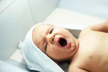 Як не спати півроку і не збожеволіти збожеволіти