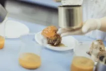 Як ми тестуємо тушонку тестуємо