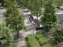 Як і де курять у Японії Токіо