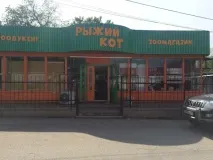 Як ми зоомагазин відкривали 3 тенге
