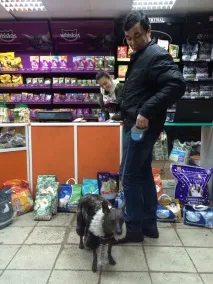 Як ми зоомагазин відкривали 3 кормів