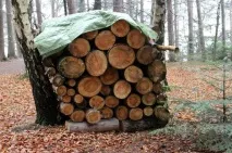 Як правильно організувати зберігання дров, готові рішення дров