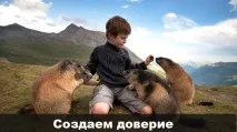 целева ефективна