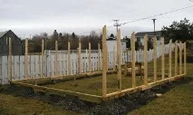 оранжерия