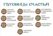 Як пришити гудзик способи для різних видів фурнітури, LS пришити