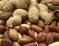 Цвіль і гниль на продуктах гниль