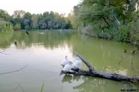 Пескара (Італія) пам’ятки, погода, пляжі, шопінг, фото італія