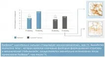 Перемога над віковими змінами покращення якості шкіри на 4 основних рівнях перемога