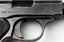 разновидности walther