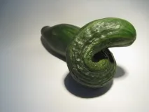 защо защо