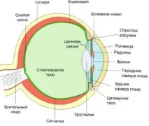 очите зачервяват