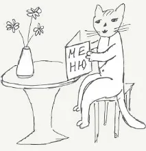 котки храна