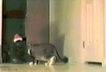 нервна нервна