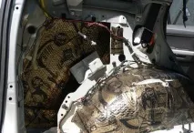 Як усунути скрип задніх дверей в автомобілі дверей