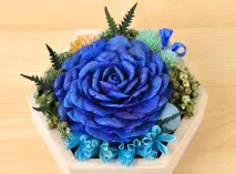 запазим оцветите