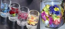 оцветите оцветите