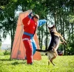 Обучение кучета Инструктор обучение
