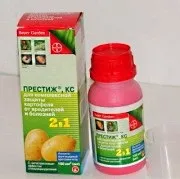 колорадския бръмбар колорадския бръмбар
