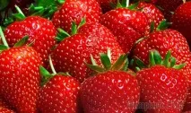 Карбамід для правильного добрива полуниці та високої врожайності карбамід