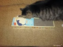 гофриран котешки