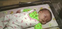 Кішка-героїня врятувала дитину від холодної смерті – на Fabiosa кішка-героїня
