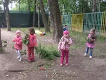 Конспекти літніх прогулянок у старшій групі прогулянок