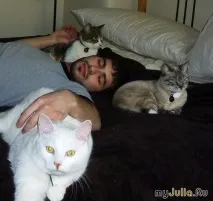 Котката няма може котка