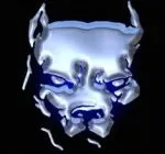 пенсионер стая