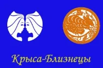 близнаци плъх