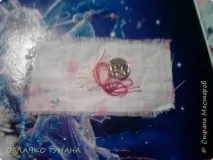 захисниця