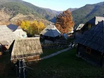 кустурица село