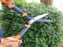Кущоріз ручний огляд, особливості, характеристики, види та відгуки кущоріз