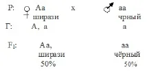 гени