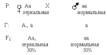 гени