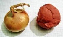пластилин пластилин