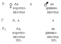 схрещування