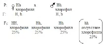 схрещування