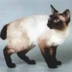 меконг меконг
