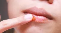 домашни