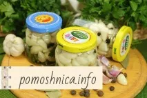 опитни най-добрите
