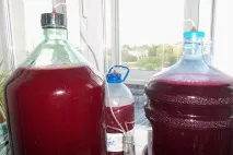 домашна малиново
