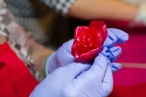 майсторски клас приготвяне