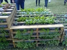 Меблі з піддонів своїми руками покроково фото меблі