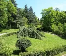 Долна Масандра част парка