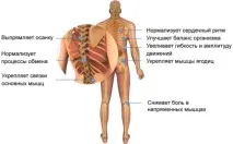 усукате възможно
