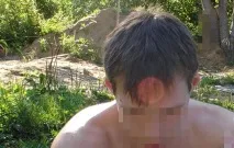светът същества