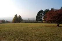 мира блогът