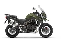 triumph triumph